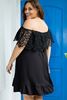 Picture of CURVY GIRL LACE DRESS